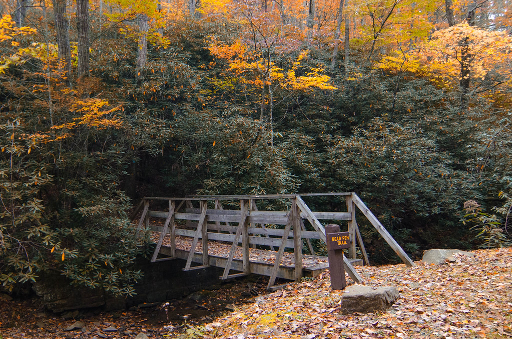 Bear Pen Trail, Watoga State Park, Marlinton, West Virgini… Flickr