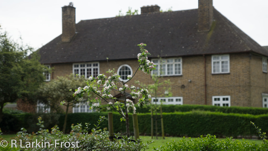 CW Sunray Avenue SE246058 RainbowSE5 Flickr