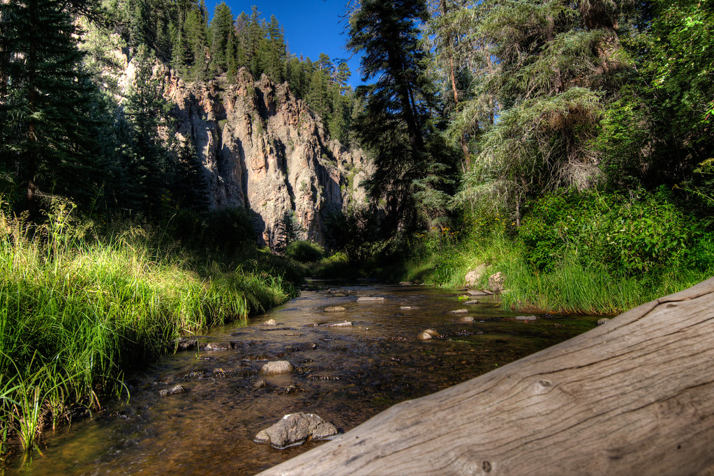 Las Conchas trail In Valles Caldera, New Mexico vitalishe Flickr