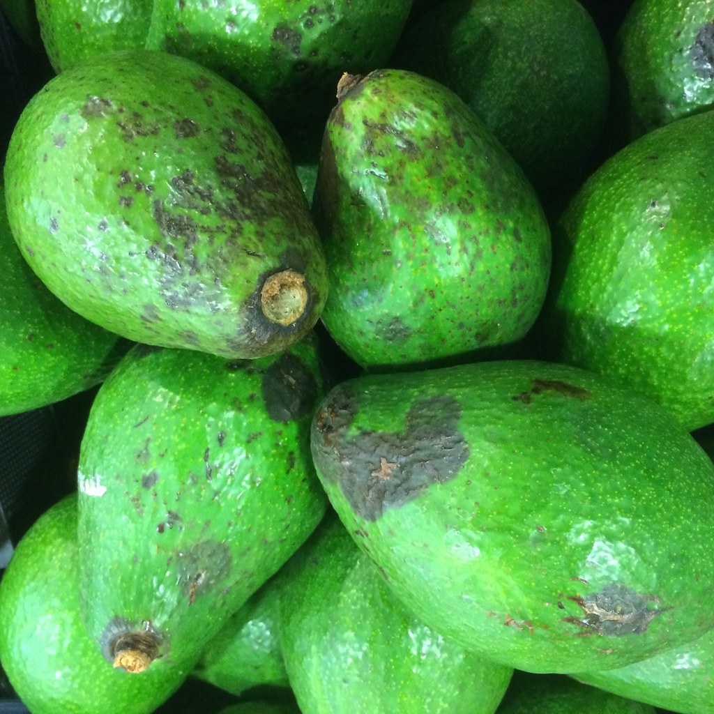 Avocados with anthracnose Read www.ctahr.hawaii.edu/oc/fr… Flickr
