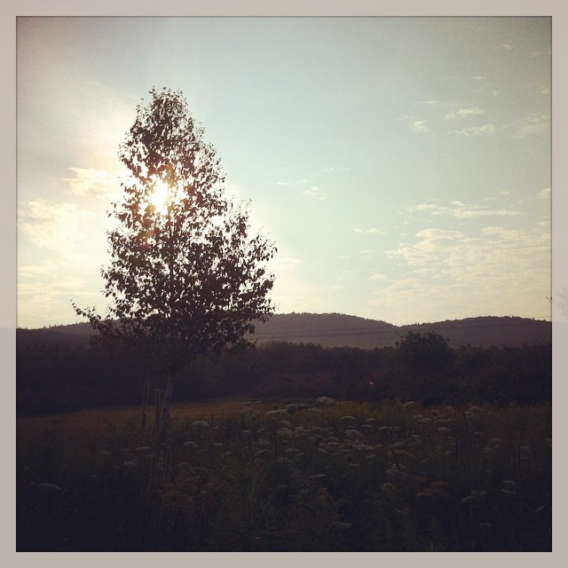 Right now in Belle Cote unpluggedsummer TuesdaysAreAweso… Flickr