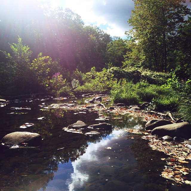 Roaring Brook. Scranton, PA. Zak Zavada Flickr
