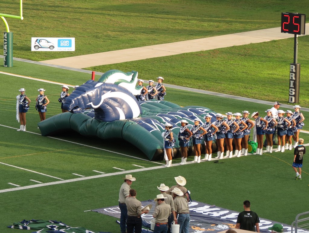 Majestics line up The McNeil High School Majestics lined u… Flickr