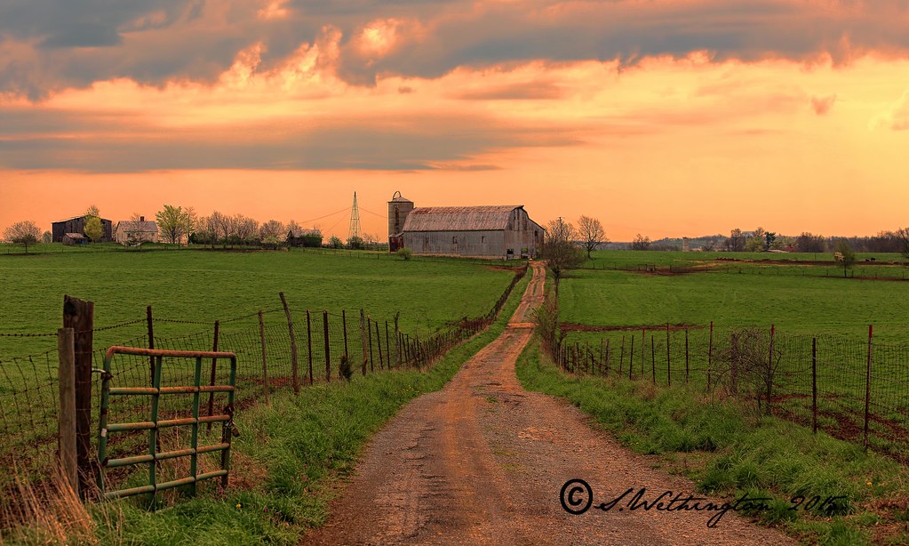 Boyle County Farm Boyle County Farm S Wethington Flickr