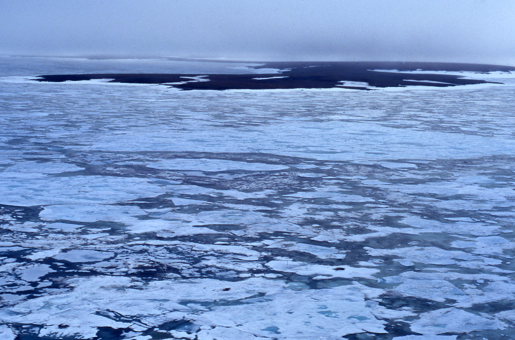 Sea ice melting, North of Dickson, Taymyr, Russia (July 19… Flickr