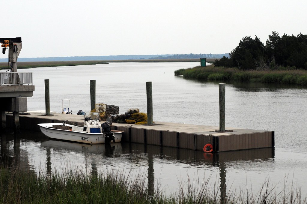 Harris Neck National Wildlife Refuge Townsend, Flickr
