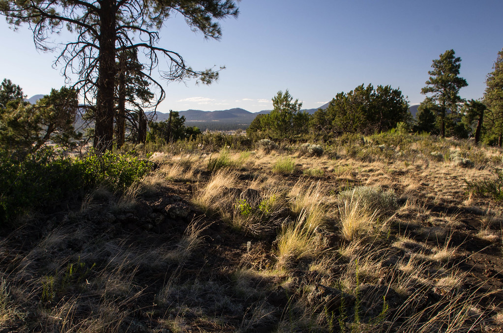 Doney Park Check out my set "Most Interesting 100" here! V… Flickr