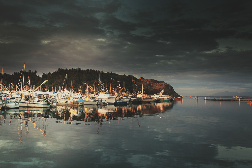 Anacortes Marina This shot was captured yesterday evening.… Flickr