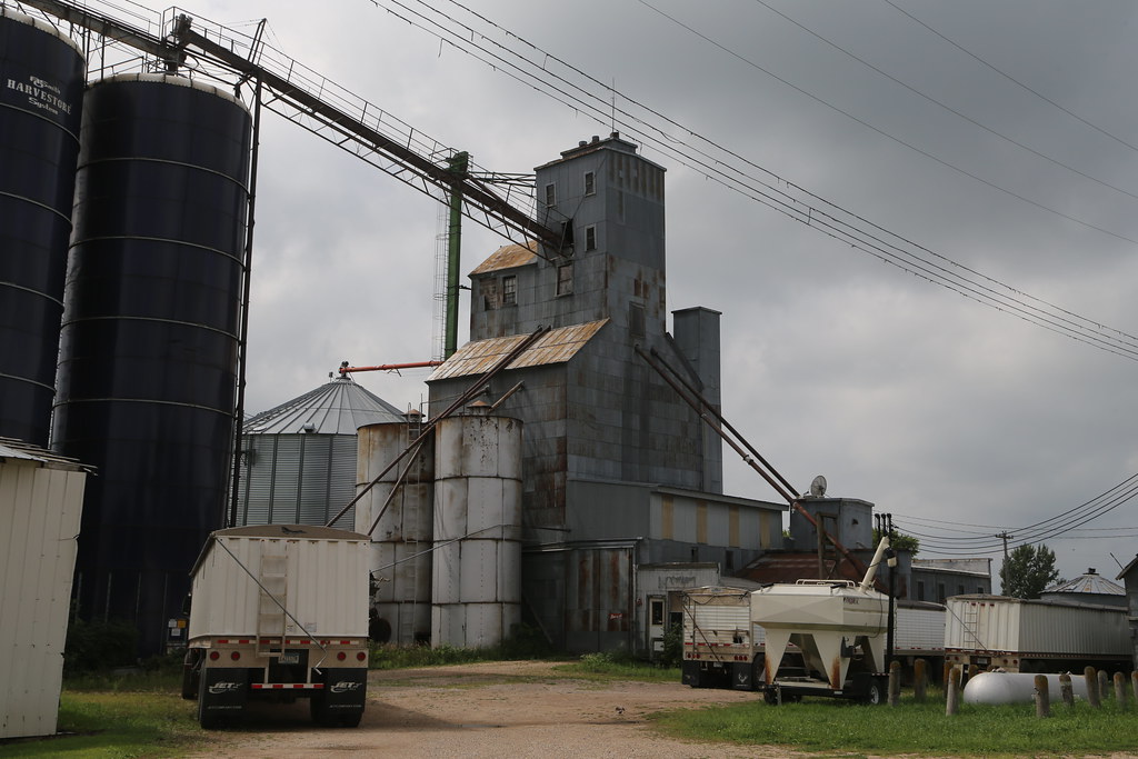 Bloomkest Minnesota, Kandiyohi County MN Bruce Wicks Flickr