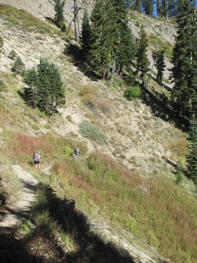 Above the North Fork Blackwood Creek mtnyoung Flickr