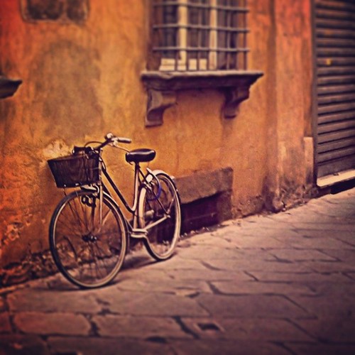 La vita è come una bicicletta con dieci velocità. La maggi… Flickr