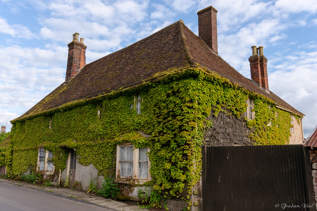 English Ivy House An old English house covered in Ivy