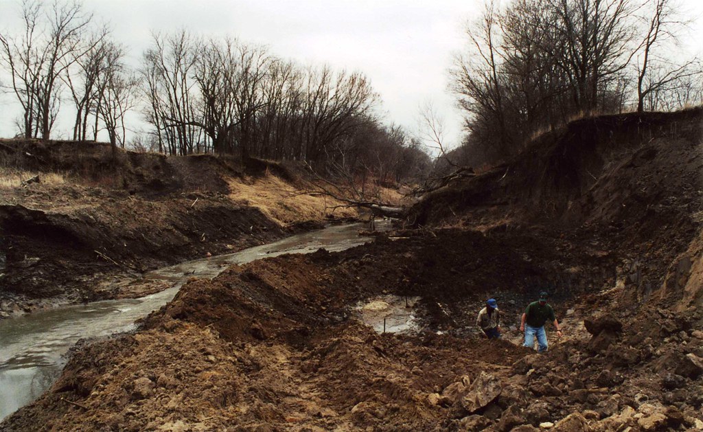 march2004_6 The University of Iowa Tarkio Valley Sloth Project Flickr