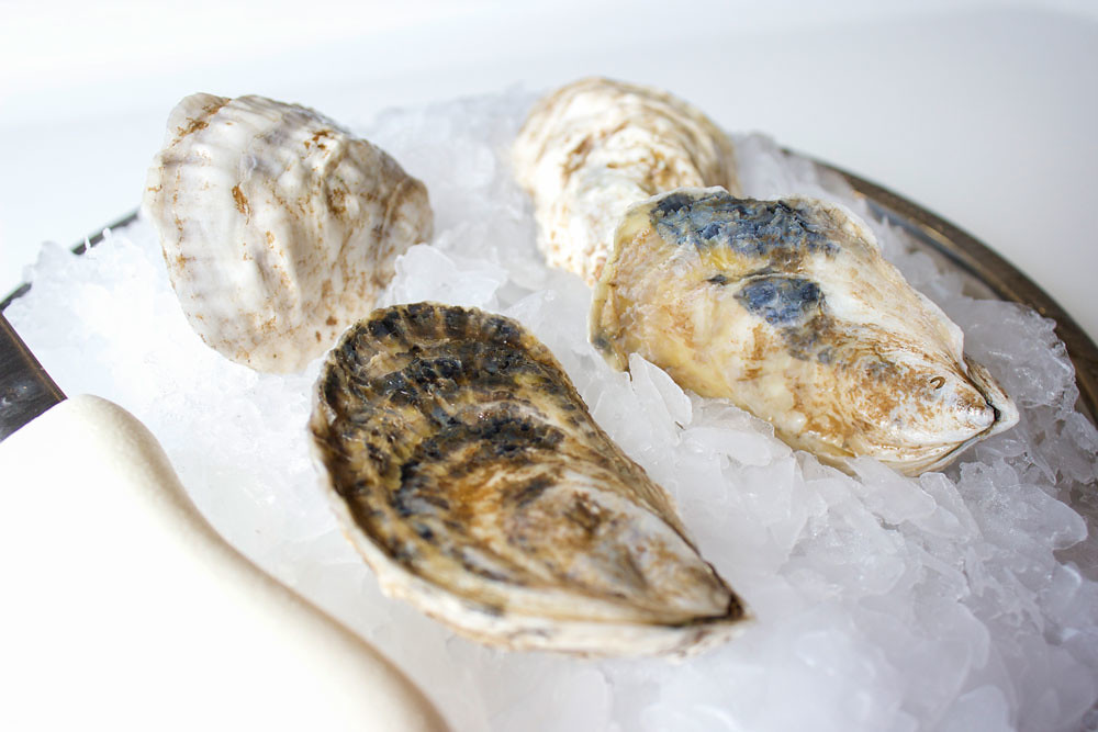 Black Bear Point Oysters from Little Island Oyster Company… Flickr