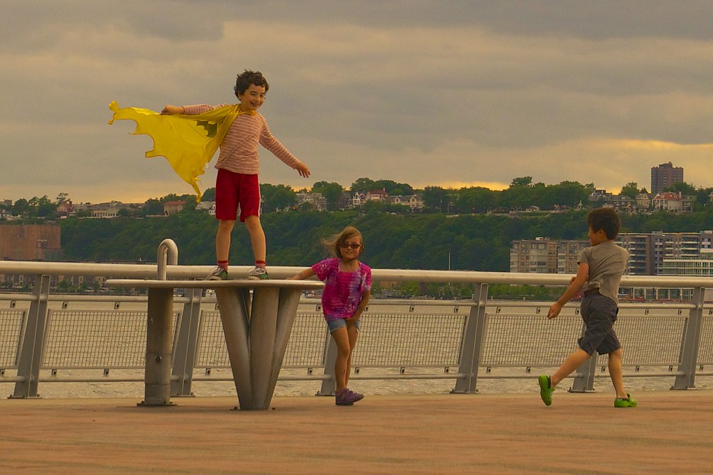 Riverside Park South, June 2014 05 (more details later, … Flickr