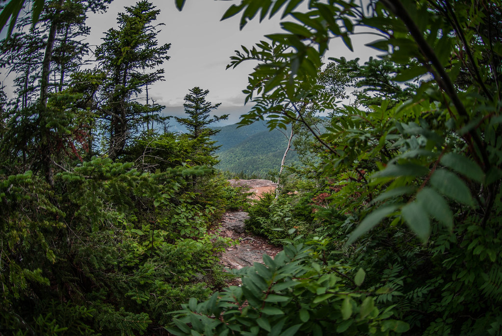 White Mountains, NH Dry River/Crawford Notch. Hiking on th… Flickr