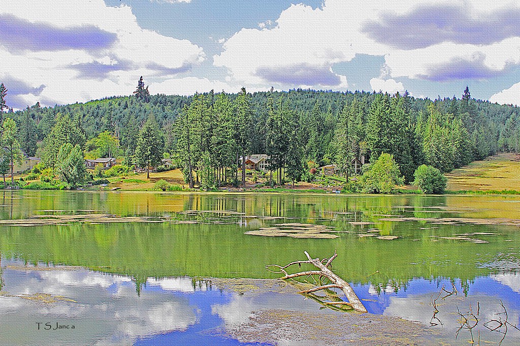 Mcintosh Lake In Washington With Houses Mcintosh Lake In W… Flickr