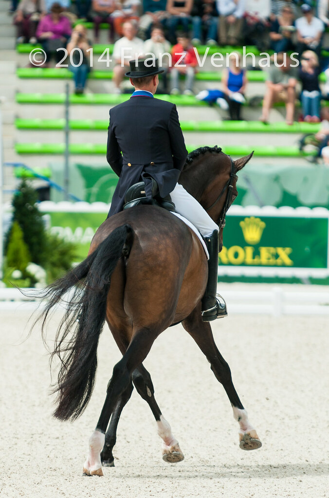 140826_Dressage_GP_2_1090.jpg Dressage Grand Prix Day 2 of… Flickr