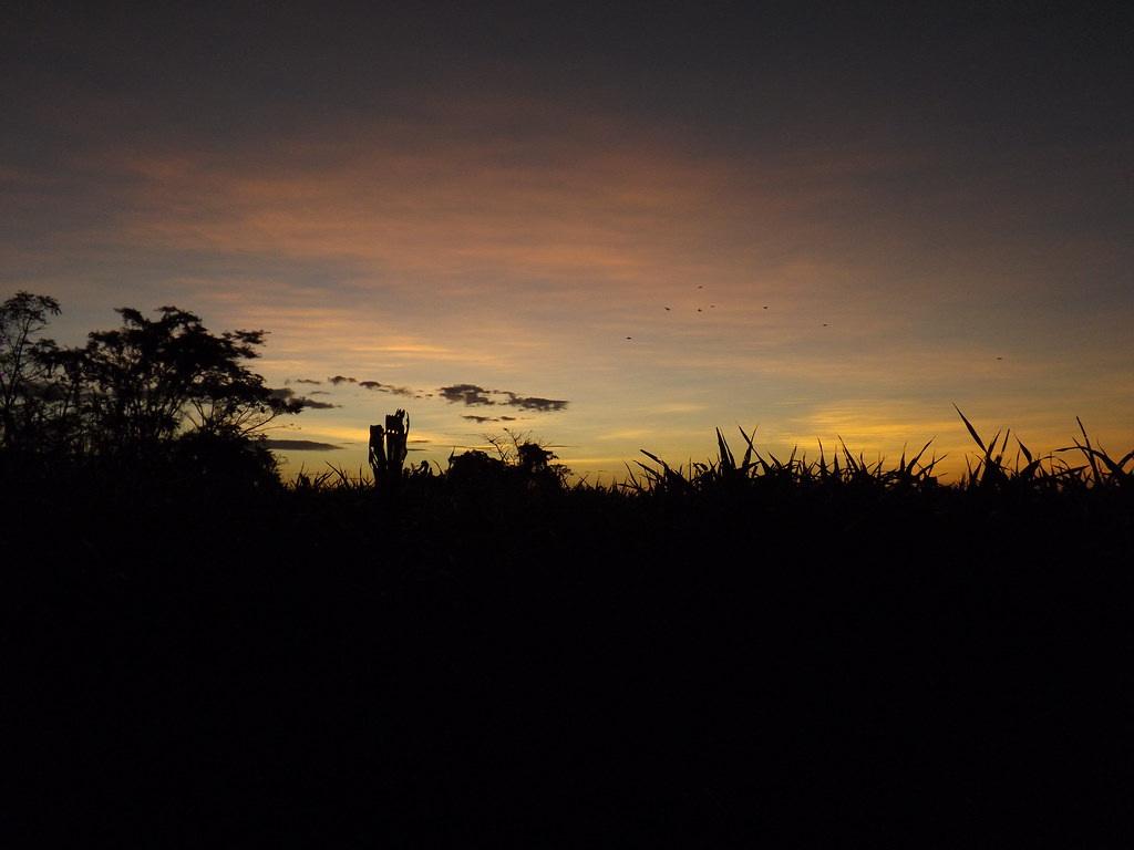 Amanecer Municipio TurenPortuguesaVenezuela Jeance Flickr