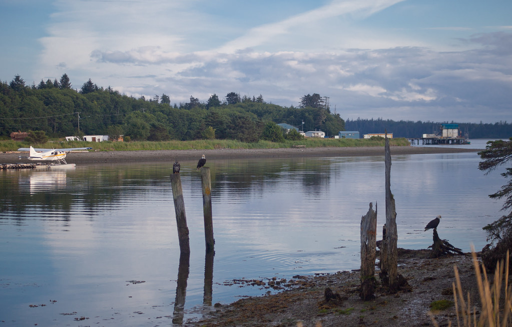 Elevation of Yellowhead Highway, Yellowhead Hwy, Port Clements, BC V0T
