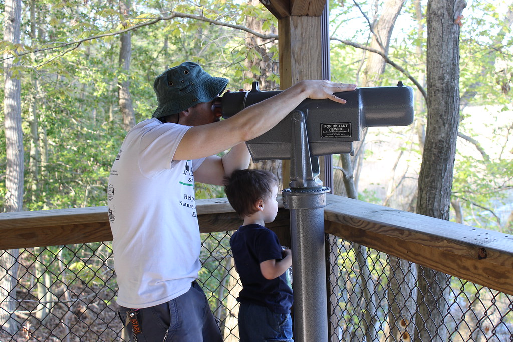 Elizabeth Hartwell Mason Neck Wildlife Refuge Woodmarsh … Flickr