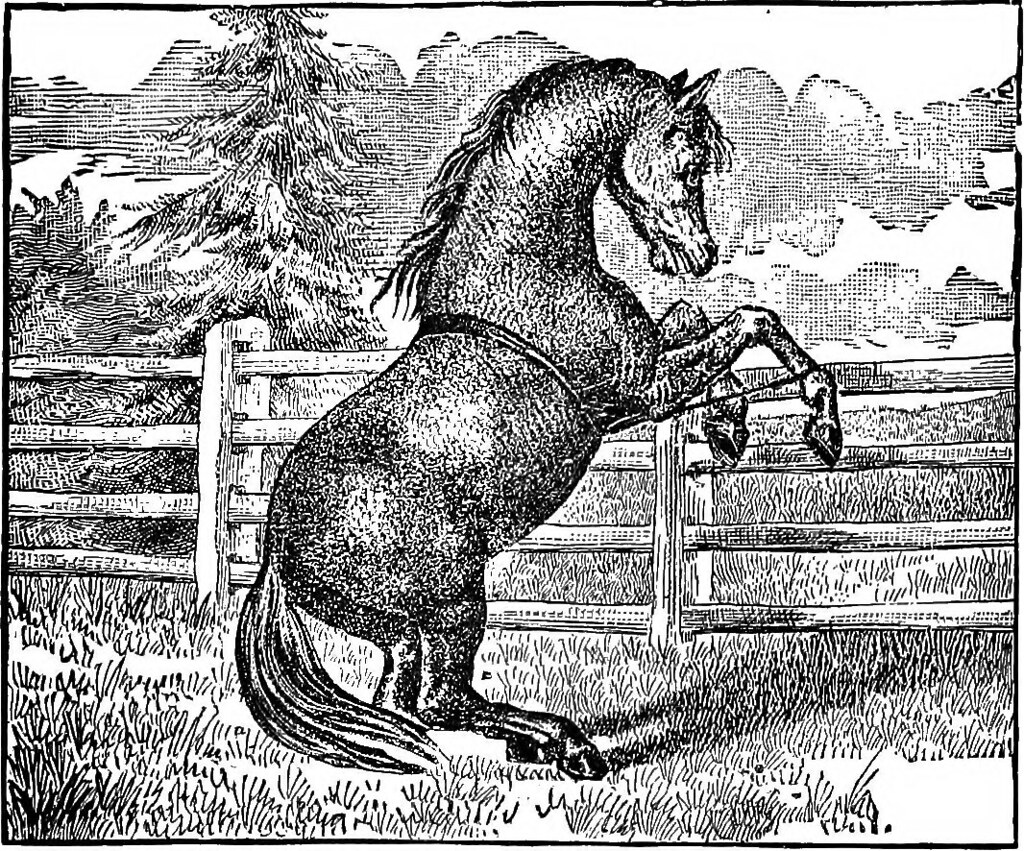 How Much Do Horse Trainers Make an Hour Factors, Average Wages, and