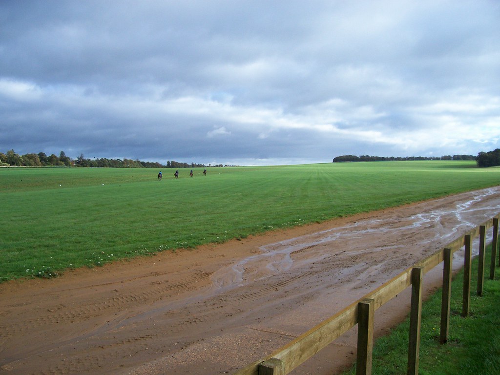 Warren Hill Famous Newmarket training grounds Paul May Flickr