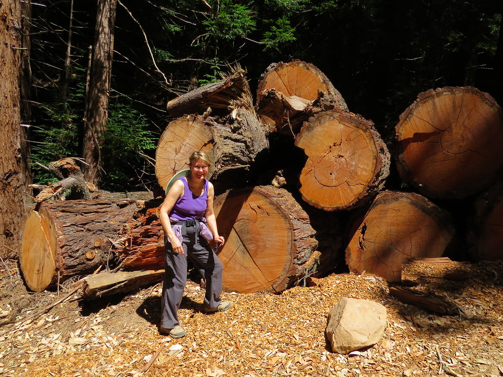 El Corte Madera with Ramblers El Corte Madera with Rambler… Flickr