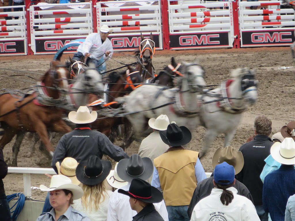 Racing 2015 Calgary Stampede Chuckwagon races royckmeyer Flickr
