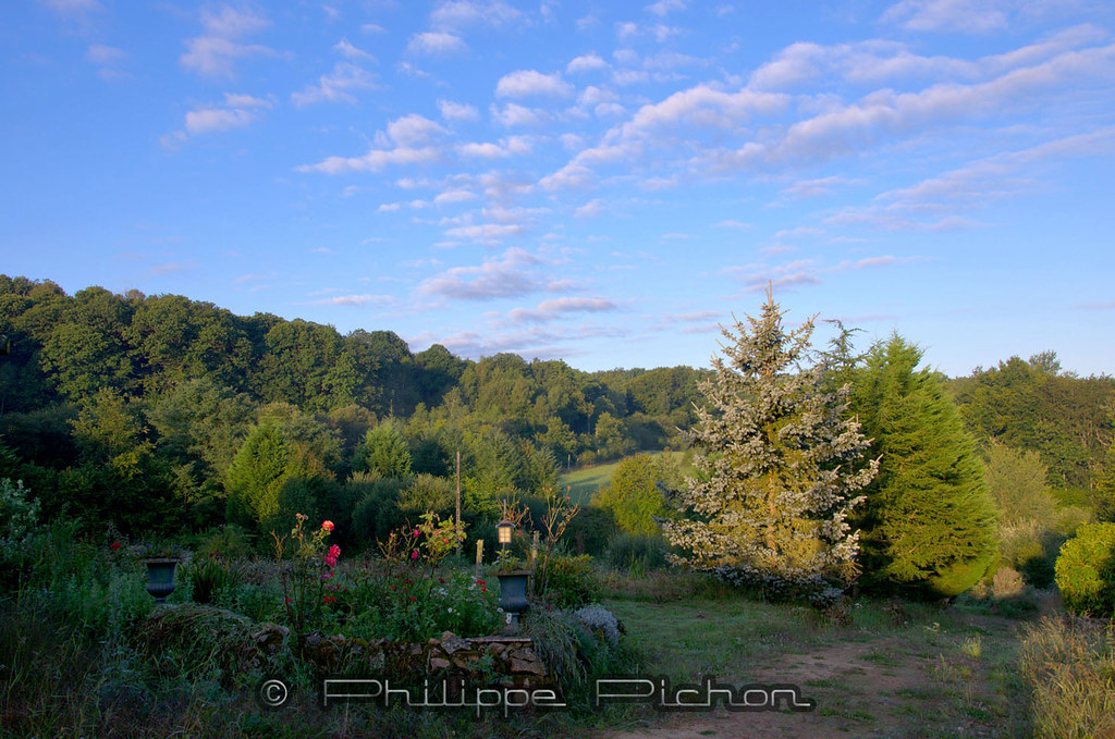 août 2014 Gîte St Laurent Sur Gorre Lumière du matin Philippe