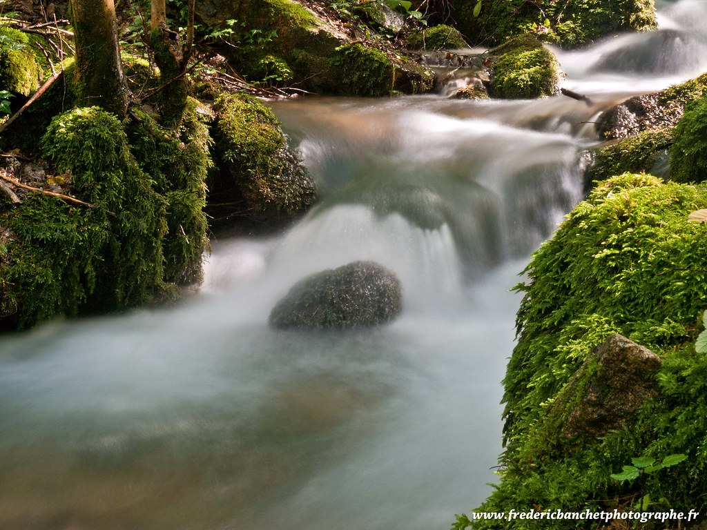petite rivière Une nouvelle petite rivière des monts du Pi… Flickr