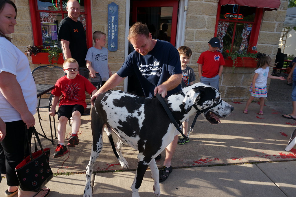 06 14 14_3804 Dairy Haus Rockton, Il June 14, 2014 www.fac… Flickr