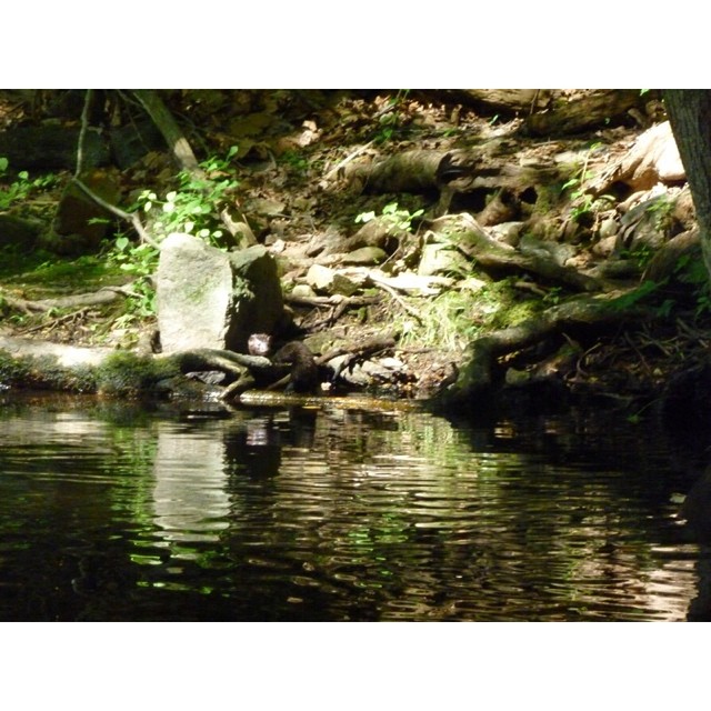 Check out this photo! Kayaking along the Wanaque River ban… Flickr