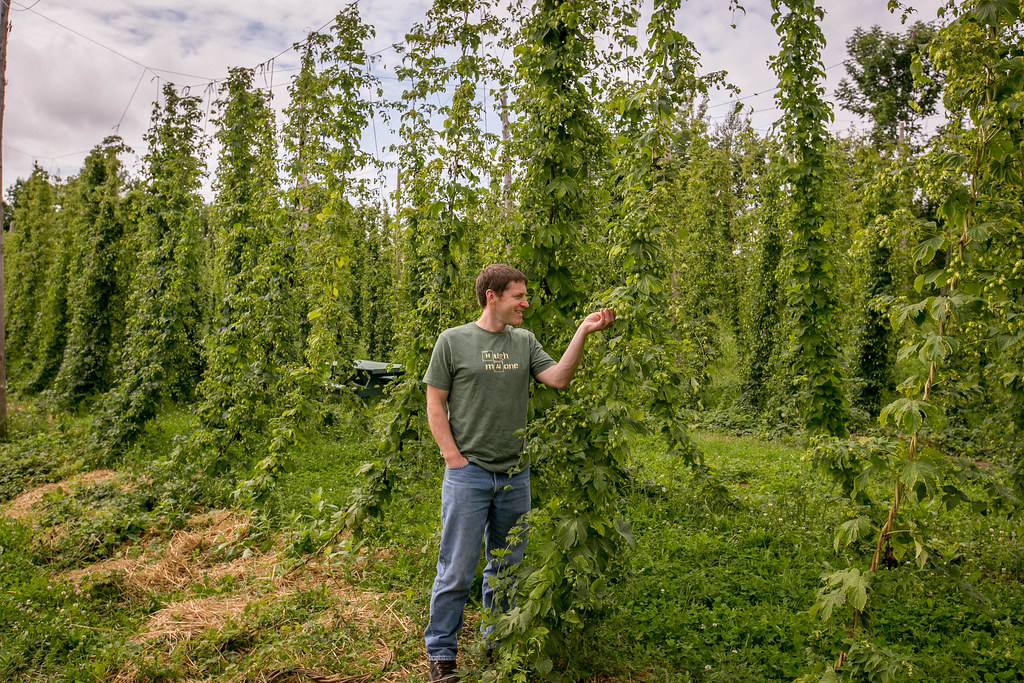 Visit to The Hop Yard in Gorham, Maine Allagash Brewing Flickr