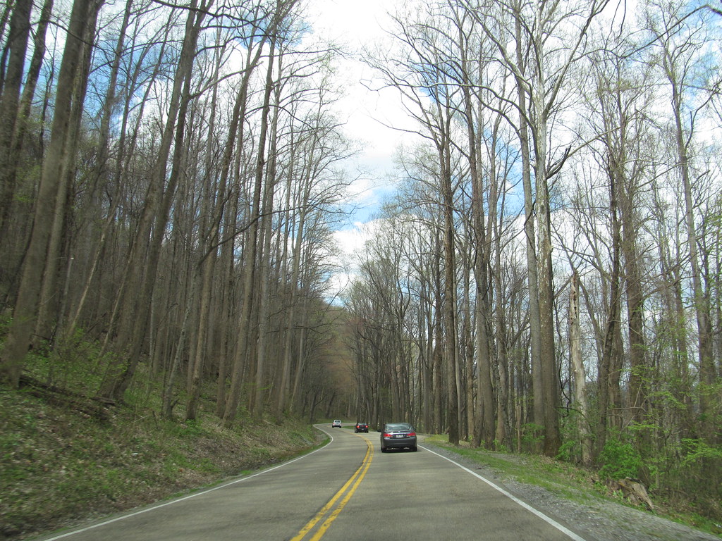 US Highway 441 Tennessee US Highway 441 Tennessee Flickr