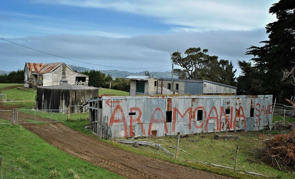 Abandoned house near Port Chalmers NZ. Marie Adamson Flickr