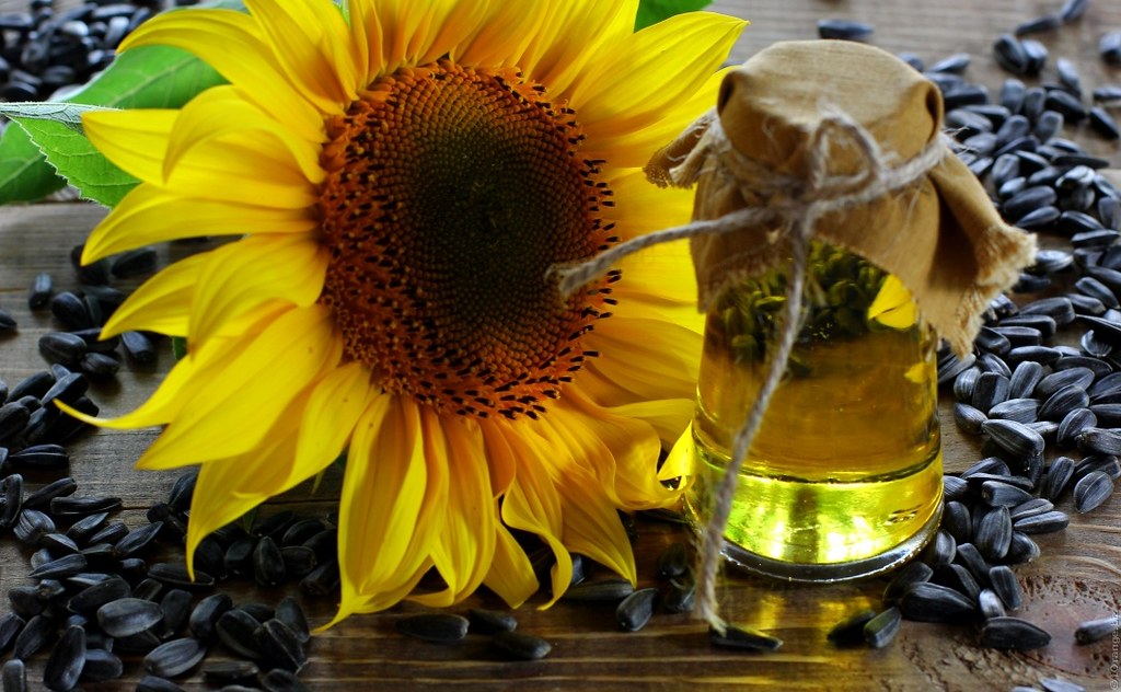 Sunfloweroil Sunflower Valdemar Fishmen Flickr