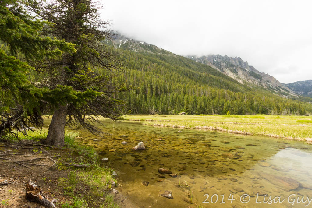 Slough Lake Phantom Creek Trailhead, MT Lisa G Flickr