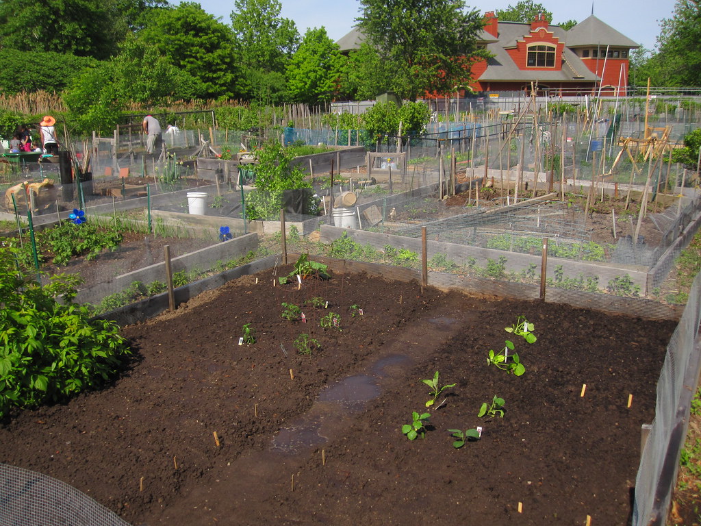 Charles River Community Garden Suburban Angst Flickr