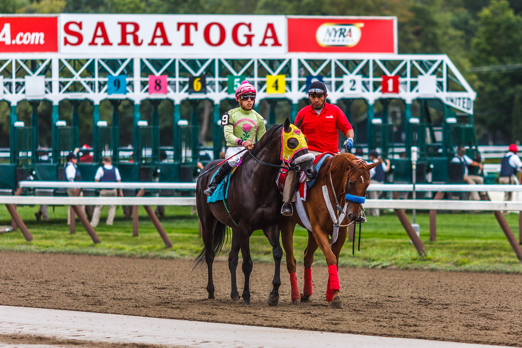 Happy Travers Day! Blog Facebook Twitter Saratoga is a… Flickr