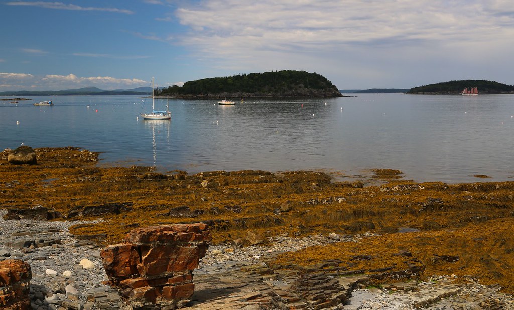 Bar Harbor, Maine A Walk Along the Shore Path (July, 201… Flickr