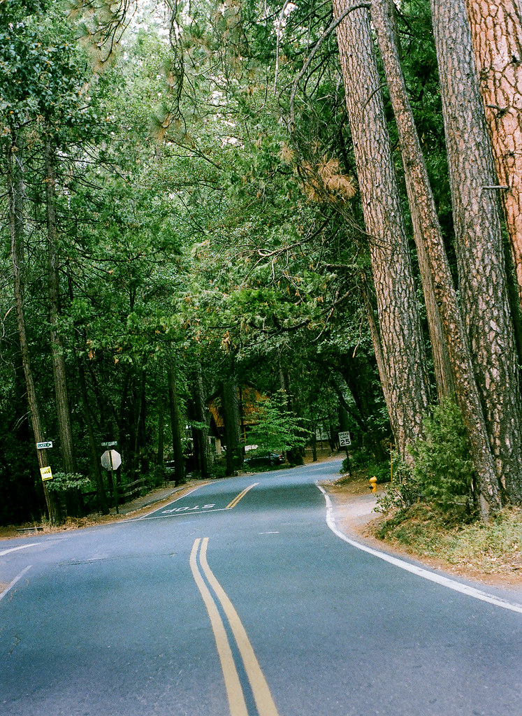 Road In Twain Harte, CA. I was here for the 2014 Film Fest… Flickr