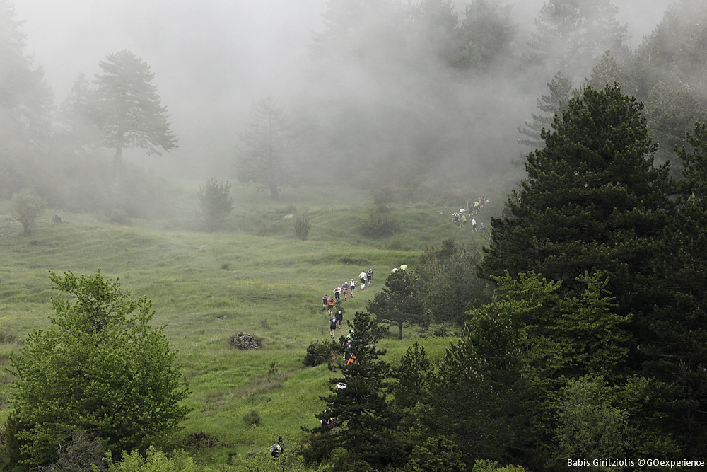 Metsovo Ursa Trail 2014 by GOExperience Adventure Endurance Network