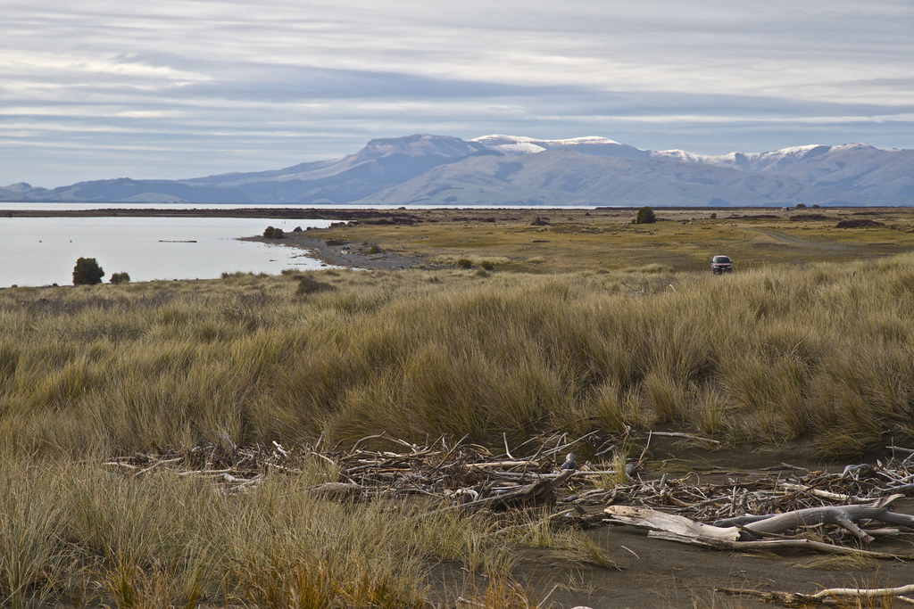 Elevation of Leeston, New Zealand Topographic Map Altitude Map