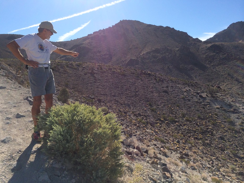 sagebrush steppe in the Virginia Range, Nevada The feral h… Flickr