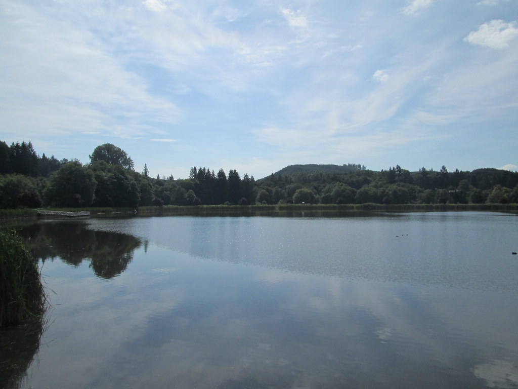 Vernonia Lake, sparkling in the sun Lynne Fitz Flickr