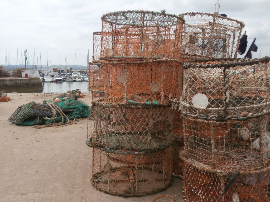 Torquay (14) OLYMPUS DIGITAL CAMERA elisabeth schuster Flickr