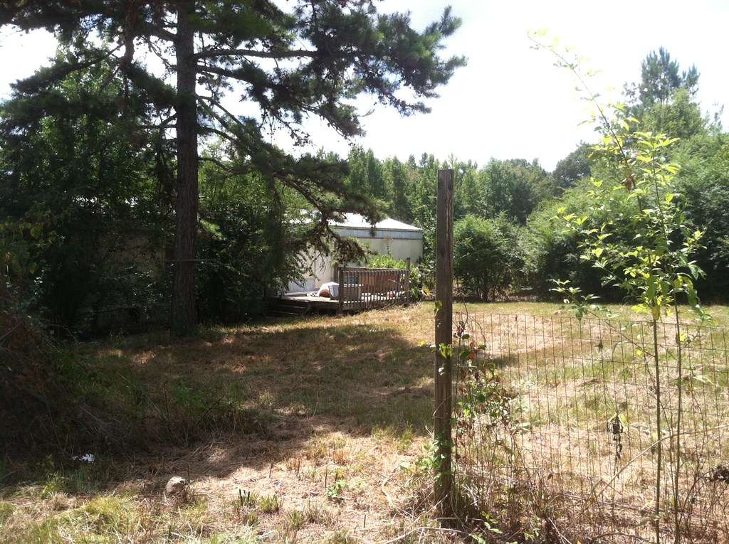 Ashville, AL 510 Acres For Sale Owner Financing is Avai… Flickr