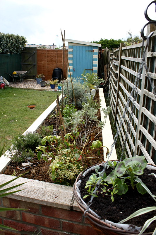 raised bed Seahaven Coastal Garden