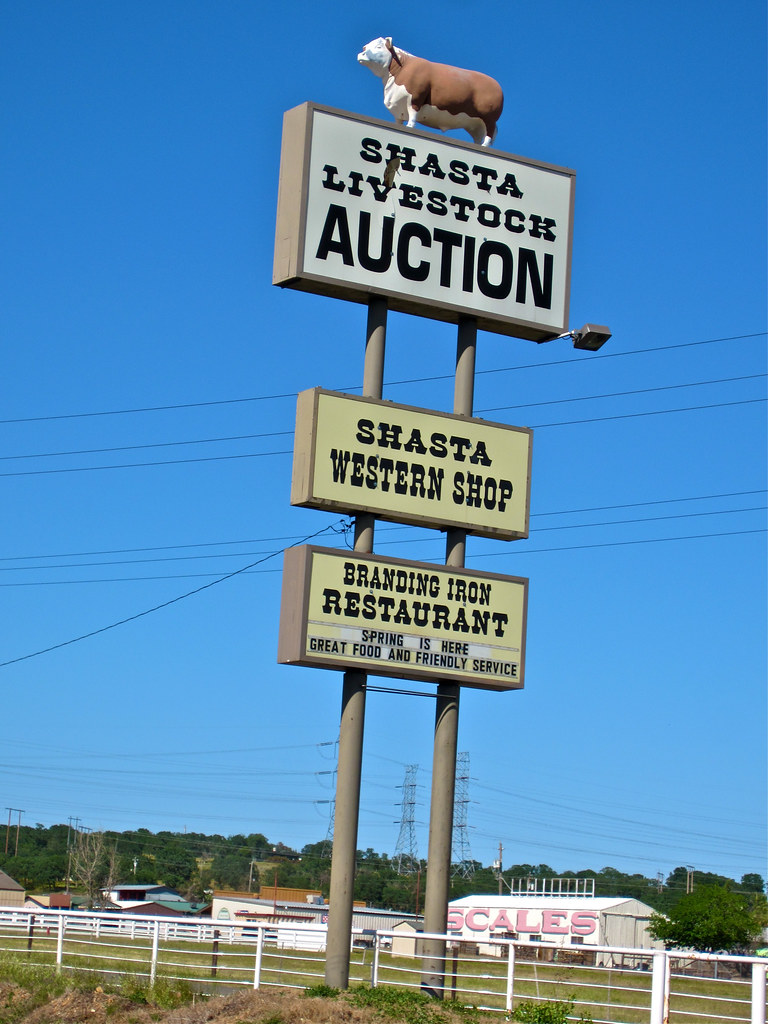 Shasta Livestock Auction, Cottonwood, CA Shasta Livestock … Flickr